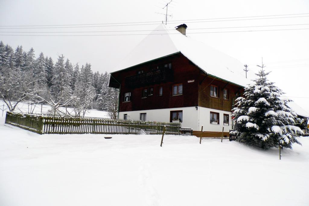 Ferienwohnung Schwarzwaldhof Titisee-Neustadt Exterior foto